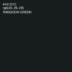 #161D1C - Rangoon Green Color Image